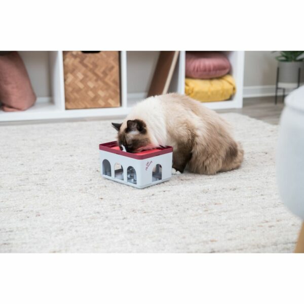 trixie-katzenspielzeug-cat-activity-rod-box-strategie-spiel-45896-tierbedarf-bvl-shop