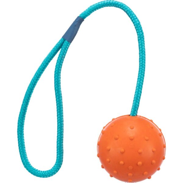 trixie-hundespielzeug-ball-am-seil-naturgummi-3305-tierbedarf-bvl-shop