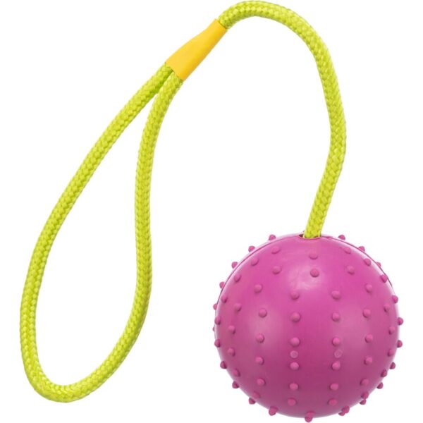 trixie-hundespielzeug-ball-am-seil-naturgummi-3308-tierbedarf-bvl-shop